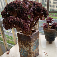 ����û��̫��������ʦϴ�˸���