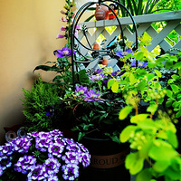 �ӹ��������̨������Ļ��ӣ��������3�����̨��