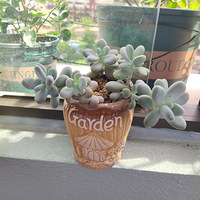 4�£���ã���̨���ʻ���̿����ˡ�