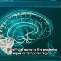 ΪʲôСӤ˯˯ʱ鴤ζʲô