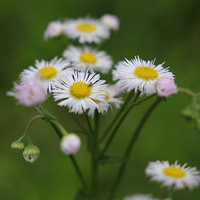 �������ã���������һ�̴�ů����