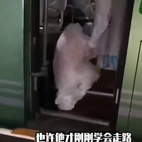 ͯż꣬¹ռ꣺гɳĺжǿ