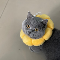 ���֮~�޶�̫����