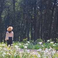 ���ǿ����β�������г���������������������