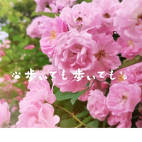 �����������ɽ��Ǿޱ���ĵط�