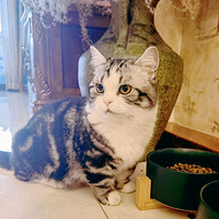 ����֮�У�����һ�����ӣ������Ҫ���Ҹɶ���СĦ���Ҹ�ϱ����