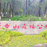 ������һ�����������ޣ��������£����ϸ��£�