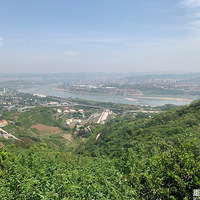 ��Խ�������������š������¡������ӷ�����