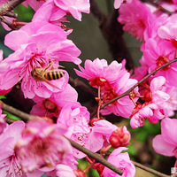 Ҫ��Ҫѡ����յ���������ˮ���ĸ��ã������ҵĿ���