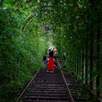 ������·