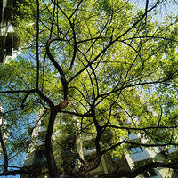 ��װ�¾ɣ���λ��ϰ��Ϊ���İ��ȸ�