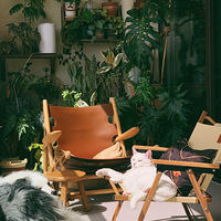 �ͱ�·��Ұ��С��̨�����ϴ�·��ұ���ֲ��