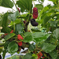 ����ժɣ驣�è�䣺����