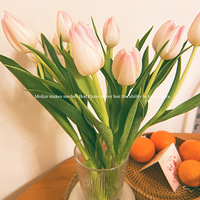 ���Ծ����ġ����մ�����һ��