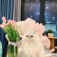 ���������������Ҷ���1������ܵ��Ҹ��Ը�õ�ϱ����