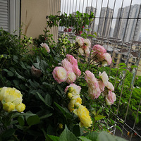 ��Ҳ�������ҵ�