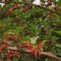 �ҵ��������֮��������