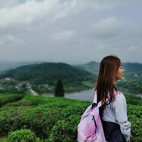 С�����ž��㡫��ɽ������βɽ~��ɽ�������ſڰ�ɭ�ֹ�԰ͽ��