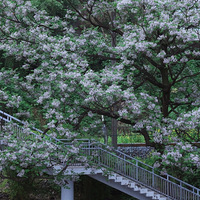 �ű�·�Ŀ��������ʵ����̫���ˡ�