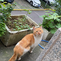 ������è���Լ��ò���������ʿ����