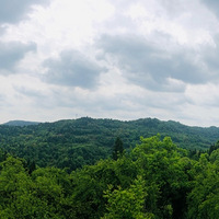 æ��͵����ɽ�����������գ�