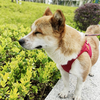 ����һ�����˵Ļ�����������