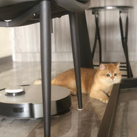 �𽥲㣬С����