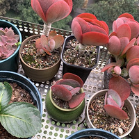 ����ǰ����¼���������һ��������ذ�