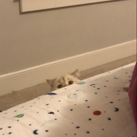 Сè����ͷ������