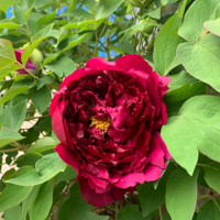 �������ĵ���ĵ���ٺٺٺ�