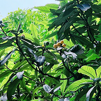 Ժ�������˱�ƣ�����ֲ��½���������������������һ���