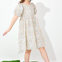 ֵȹӵļڣ5ʽҲ̫̫̫ˣ