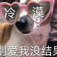 ͨ뺣ͷ֡ǰҪ죬Ŀͦ