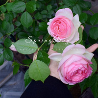 ����Ļ���