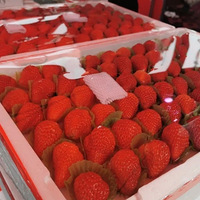 10�򵤶���ݮ��ʵ���ǽ��ղ�ݮһ���Σ�ƴ���������Ҷ��񴦷�