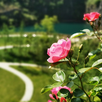 ��ĩ�����ˡ���ˢ��ɽ��԰