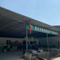 ������˸�ũ�Һ�����-��ѿ���ǽڼ���ȥ����в���