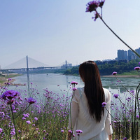 ����С�ھ��㡫������ɫ����/���޲�/