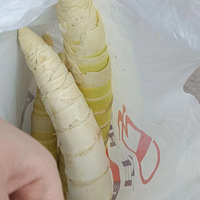 ��һ���������۲���һ������