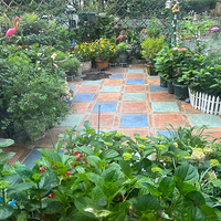 һ�����뻨�ӵĹ滮ʦ֮��԰��