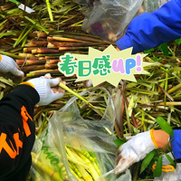 4.16  ��ɽƺ���°����ӣ��������ɻ���