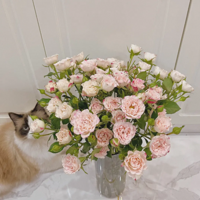 �����ʻ����Ҳ��У�Ů��һ������û�л�