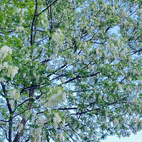 �����˼�������