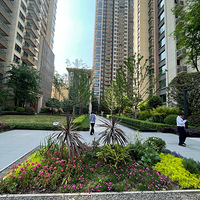 Ϊ�޶����²���������巣�����װ�޺�С��������