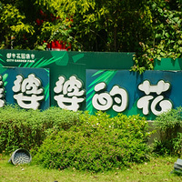 �����԰��������ˣ�����ȥ��