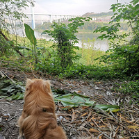 �屦������԰������