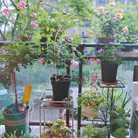 ���Դ��������~���¼���ʼ��ӵĵ�����~