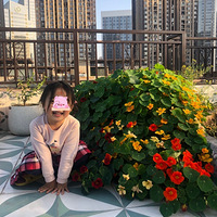 �ϰ���ֲ���������ʽ�Ļ�԰�Ͳ�԰