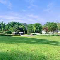 �򿨱��մ�ĥ̲ʪ�ع�԰