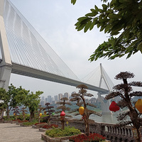 ��ɹ���֮�䣬�˼����·��ƾ��������������ʶ��